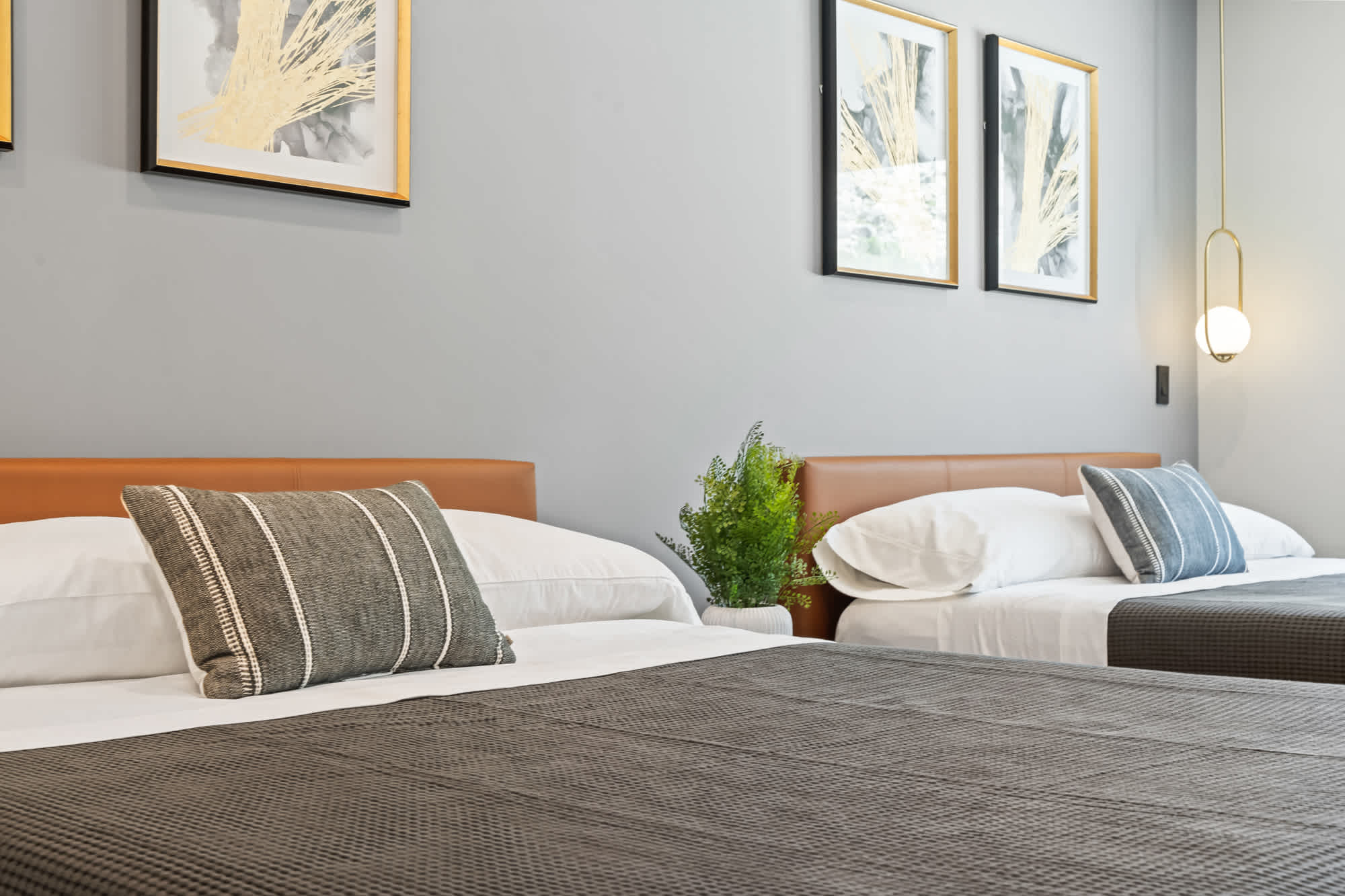 id6plxmsgozgazuyai4g