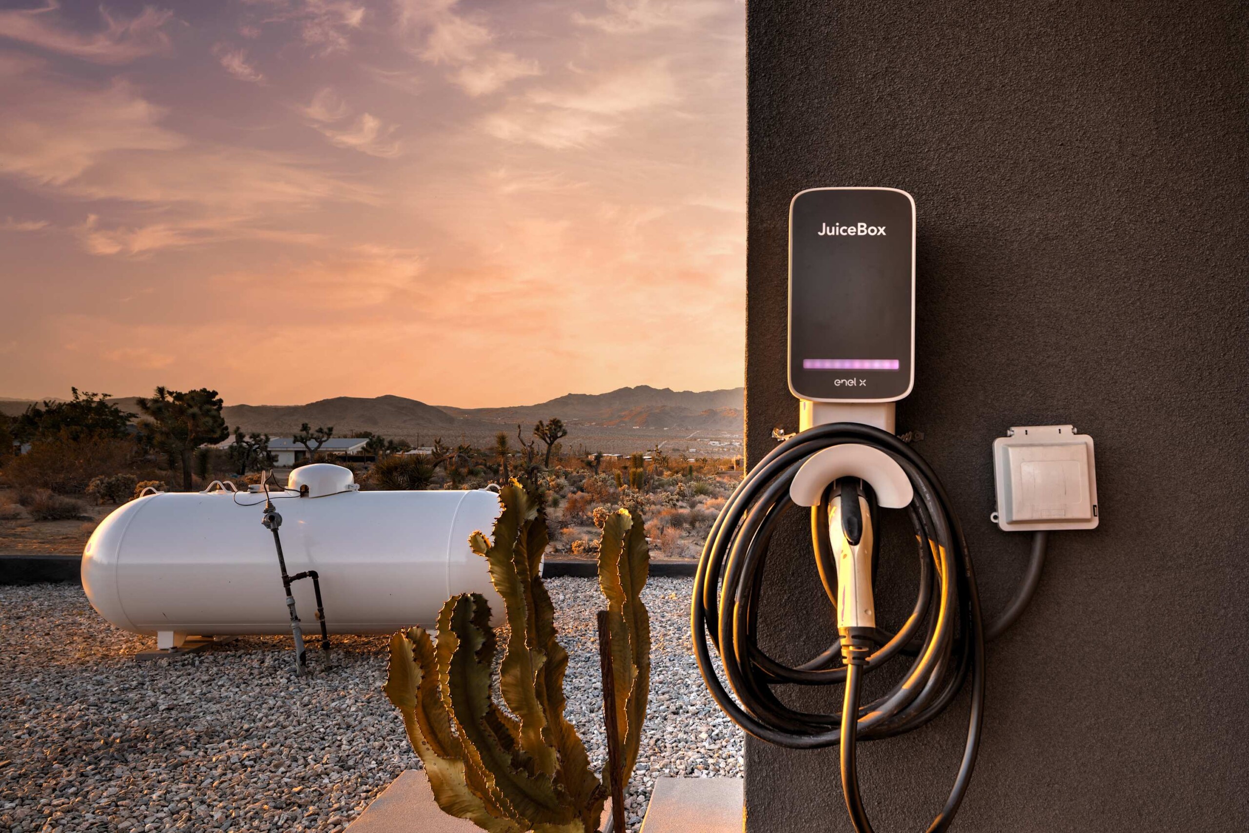 jffm842k7ssjtzkmfx8t